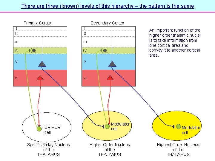 There are three (known) levels of this hierarchy – the pattern is the same