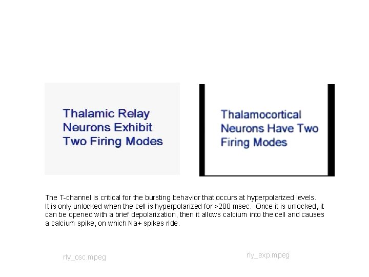 The T-channel is critical for the bursting behavior that occurs at hyperpolarized levels. It