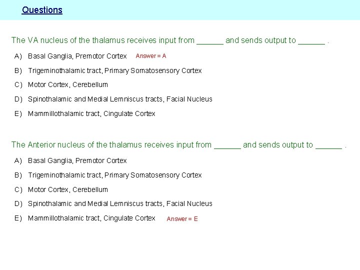 Questions The VA nucleus of the thalamus receives input from ______ and sends output