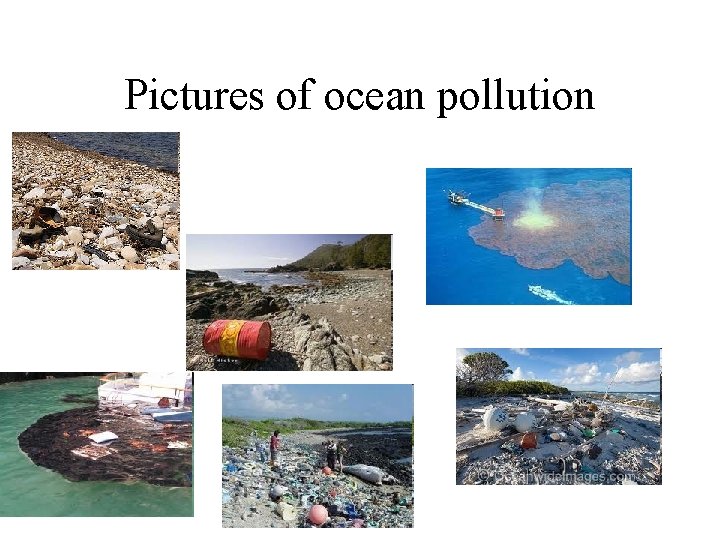 Pictures of ocean pollution 