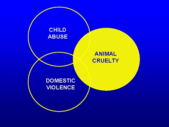 CHILD ABUSE ANIMAL CRUELTY DOMESTIC VIOLENCE 