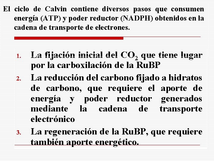 El ciclo de Calvin contiene diversos pasos que consumen energía (ATP) y poder reductor