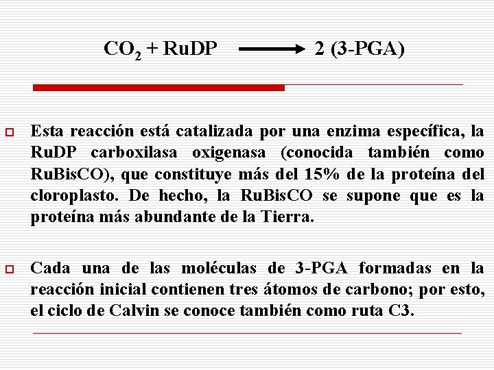 CO 2 + Ru. DP 2 (3 -PGA) o Esta reacción está catalizada por