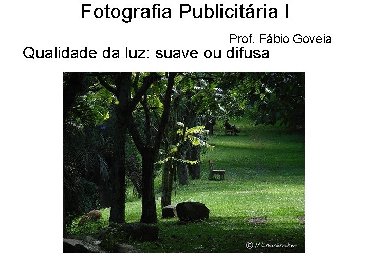 Fotografia Publicitária I Prof. Fábio Goveia Qualidade da luz: suave ou difusa 