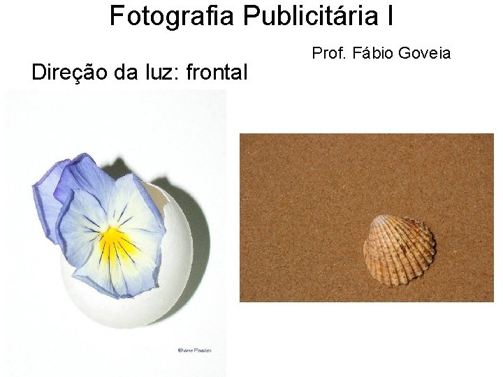 Fotografia Publicitária I Direção da luz: frontal Prof. Fábio Goveia 