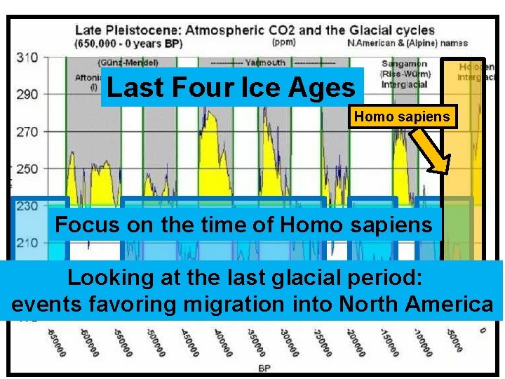 Last Four Ice Ages Homo sapiens Focus on the time of Homo sapiens Looking