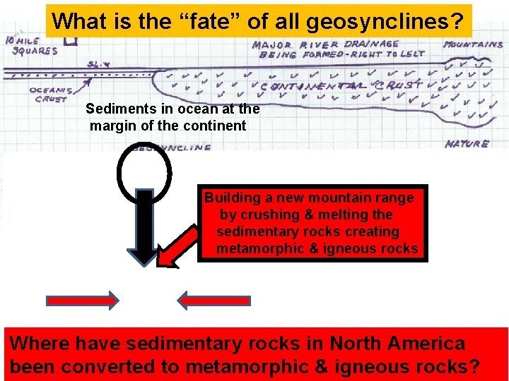 What is the “fate” of all geosynclines? Sediments in ocean at the margin of