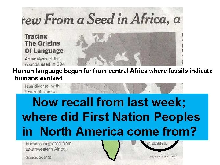 Human language began far from central Africa where fossils indicate humans evolved Rift Valley