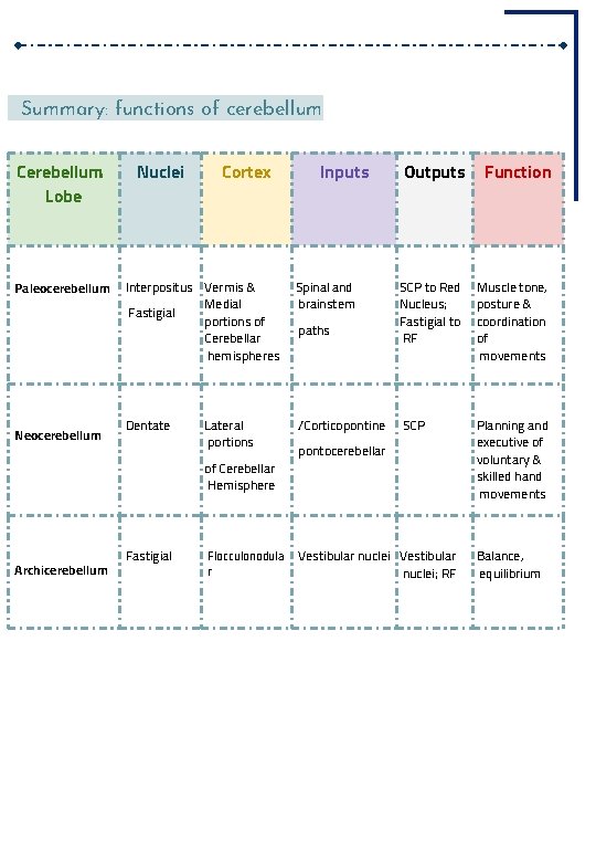 Summary: functions of cerebellum Cerebellum Lobe Paleocerebellum Nuclei Cortex Interpositus Vermis & Medial Fastigial