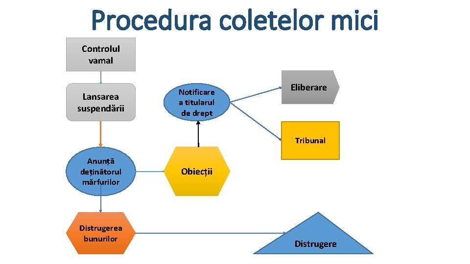 Procedura coletelor mici Controlul vamal Lansarea suspendării Notificare a titularul de drept Eliberare Tribunal