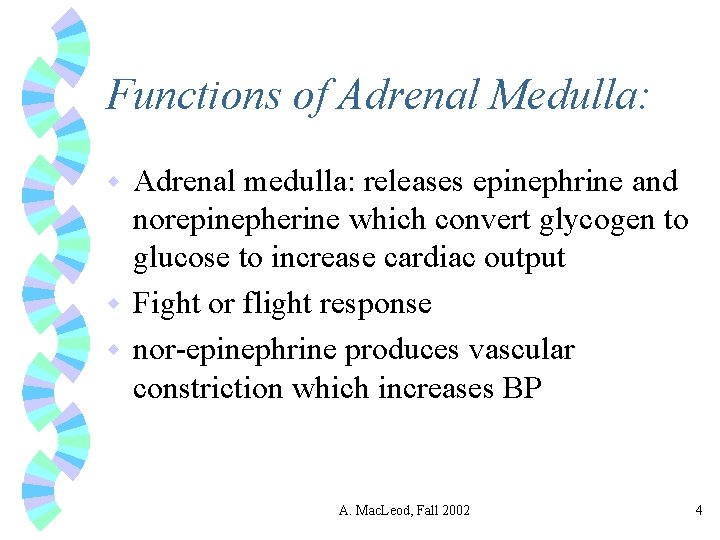 Functions of Adrenal Medulla: Adrenal medulla: releases epinephrine and norepinepherine which convert glycogen to