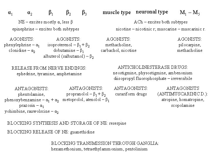 α 1 α 2 β 1 β 2 β 3 NE – excites mostly