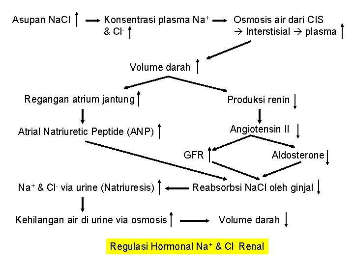 Asupan Na. Cl Konsentrasi plasma Na+ & Cl- Osmosis air dari CIS Interstisial plasma