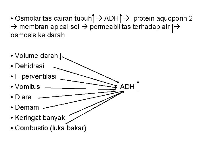  • Osmolaritas cairan tubuh ADH protein aquoporin 2 membran apical sel permeabilitas terhadap