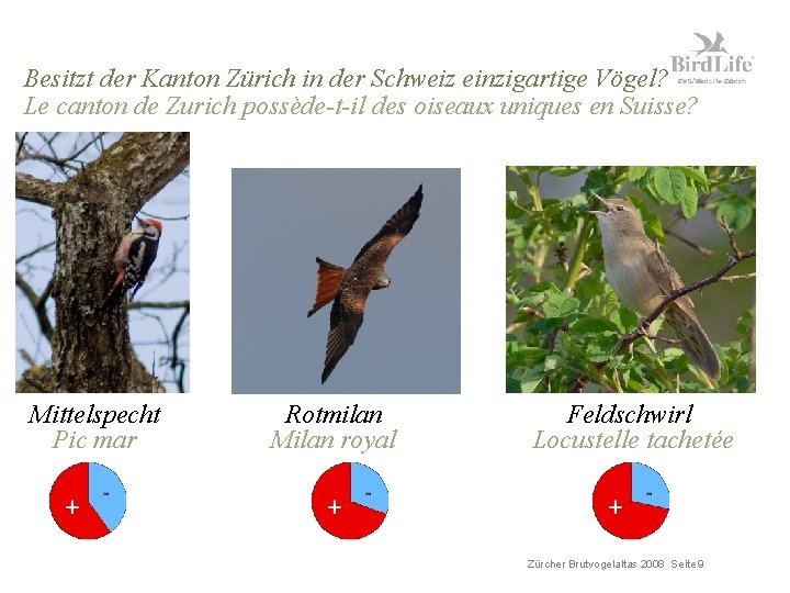 Besitzt der Kanton Zürich in der Schweiz einzigartige Vögel? Le canton de Zurich possède-t-il