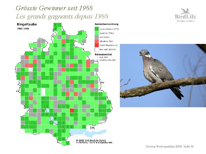 Grösste Gewinner seit 1988 Les grands gagnants depuis 1988 Zürcher Brutvogelaltas 2008 Seite 10