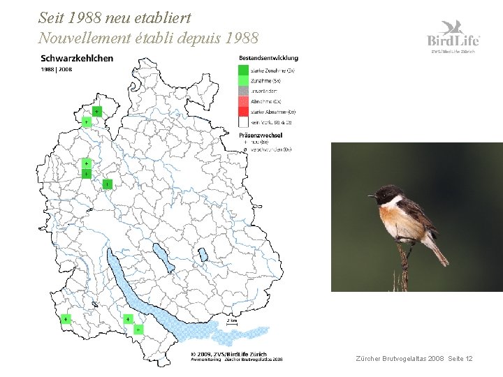 Seit 1988 neu etabliert Nouvellement établi depuis 1988 Zürcher Brutvogelaltas 2008 Seite 12 