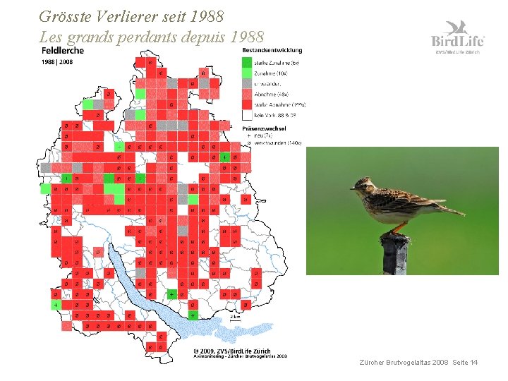 Grösste Verlierer seit 1988 Les grands perdants depuis 1988 Zürcher Brutvogelaltas 2008 Seite 14