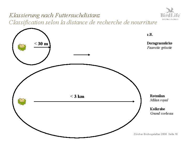 Klassierung nach Futtersuchdistanz Classification selon la distance de recherche de nourriture z. B. <
