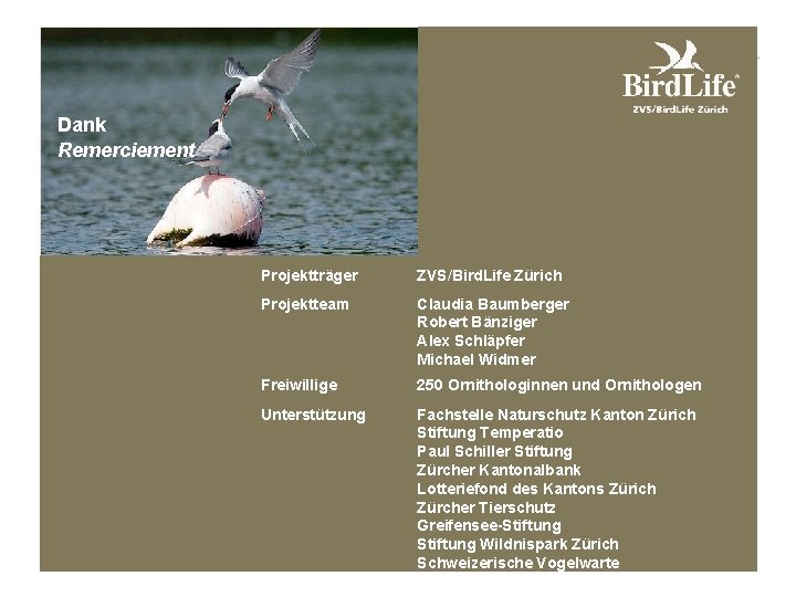 Dank Remerciement Projektträger ZVS/Bird. Life Zürich Projektteam Claudia Baumberger Robert Bänziger Alex Schläpfer Michael