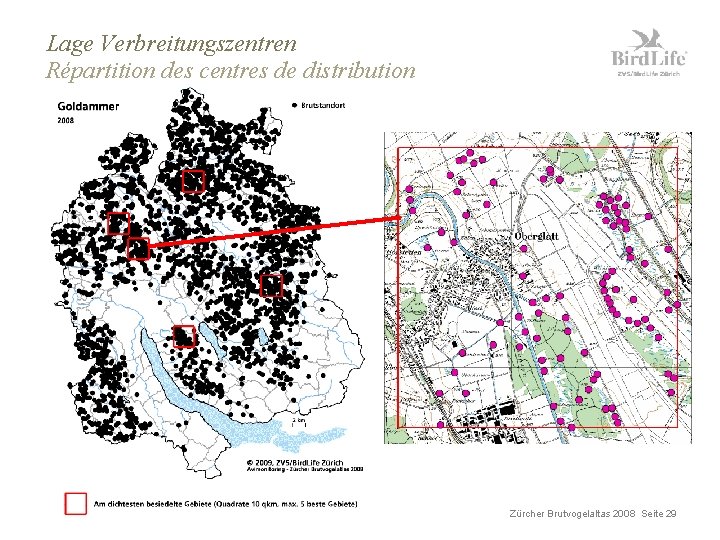 Lage Verbreitungszentren Répartition des centres de distribution Zürcher Brutvogelaltas 2008 Seite 29 