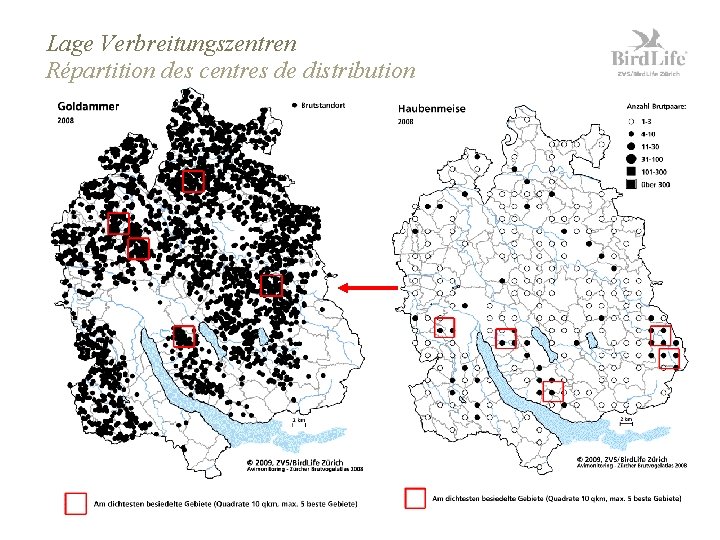 Lage Verbreitungszentren Répartition des centres de distribution Zürcher Brutvogelaltas 2008 Seite 30 