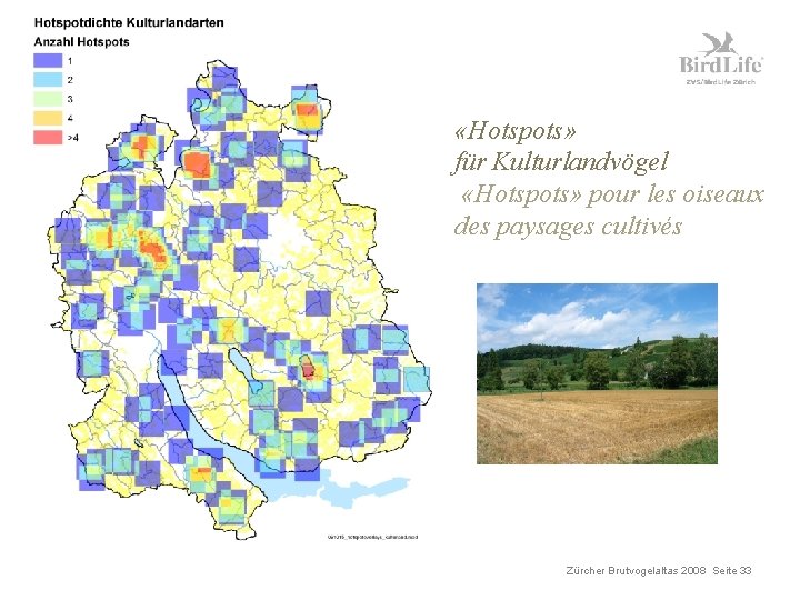  «Hotspots» für Kulturlandvögel «Hotspots» pour les oiseaux des paysages cultivés Zürcher Brutvogelaltas 2008