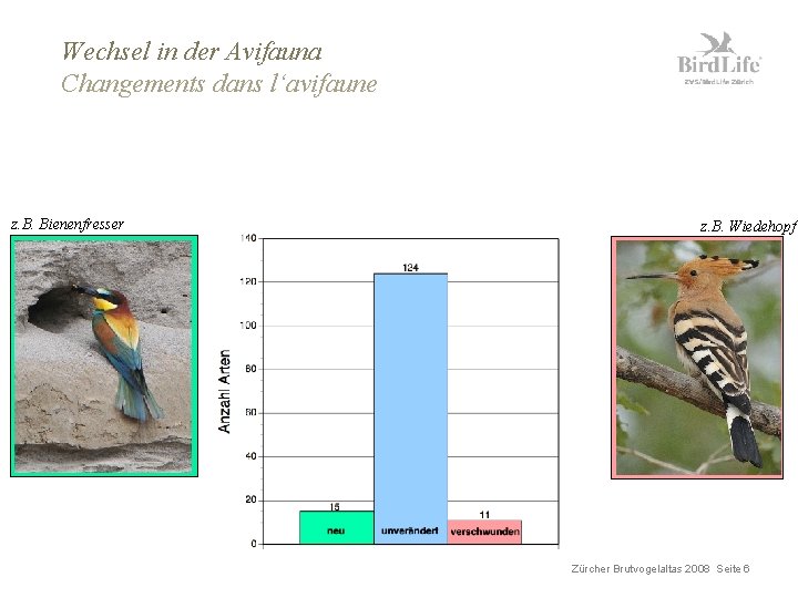 Wechsel in der Avifauna Changements dans l‘avifaune z. B. Bienenfresser z. B. Wiedehopf Zürcher