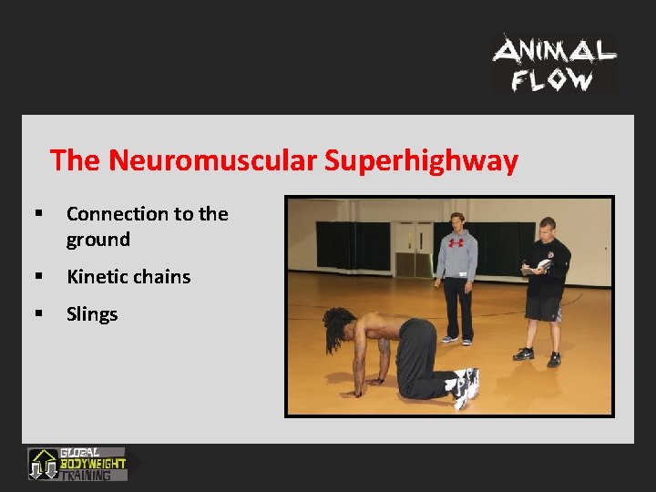 The Neuromuscular Superhighway § Connection to the ground § Kinetic chains § Slings 