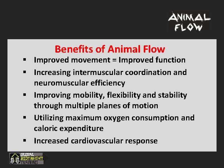 Benefits of Animal Flow § Improved movement = Improved function § Increasing intermuscular coordination