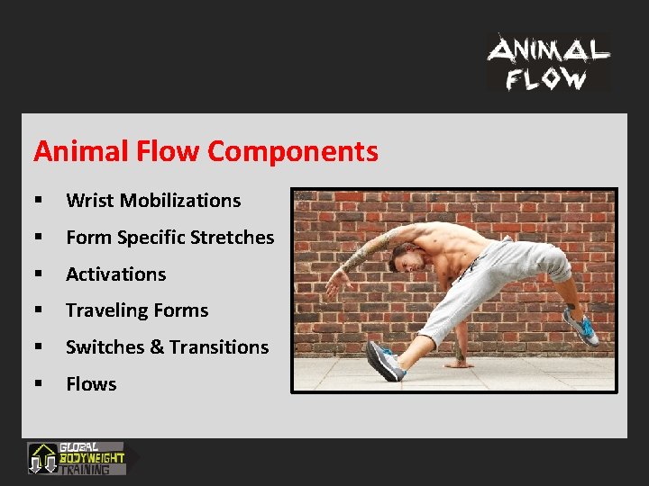 Animal Flow Components § Wrist Mobilizations § Form Specific Stretches § Activations § Traveling