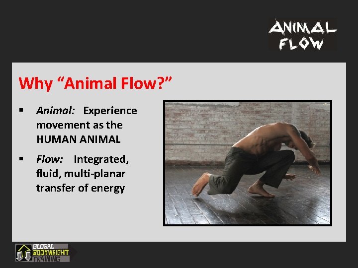 Why “Animal Flow? ” § Animal: Experience movement as the HUMAN ANIMAL § Flow: