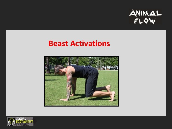 Beast Activations 