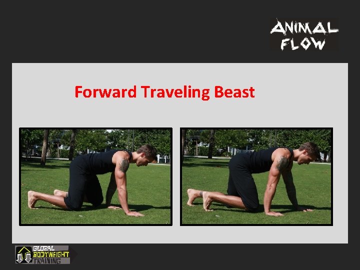 Forward Traveling Beast 