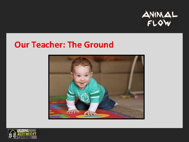 Our Teacher: The Ground 
