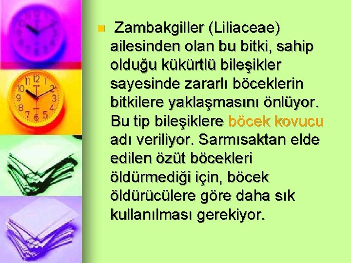 n Zambakgiller (Liliaceae) ailesinden olan bu bitki, sahip olduğu kükürtlü bileşikler sayesinde zararlı böceklerin