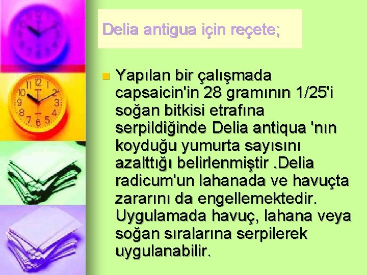 Delia antigua için reçete; n Yapılan bir çalışmada capsaicin'in 28 gramının 1/25'i soğan bitkisi