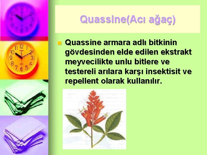 Quassine(Acı ağaç) n Quassine armara adlı bitkinin gövdesinden elde edilen ekstrakt meyvecilikte unlu bitlere