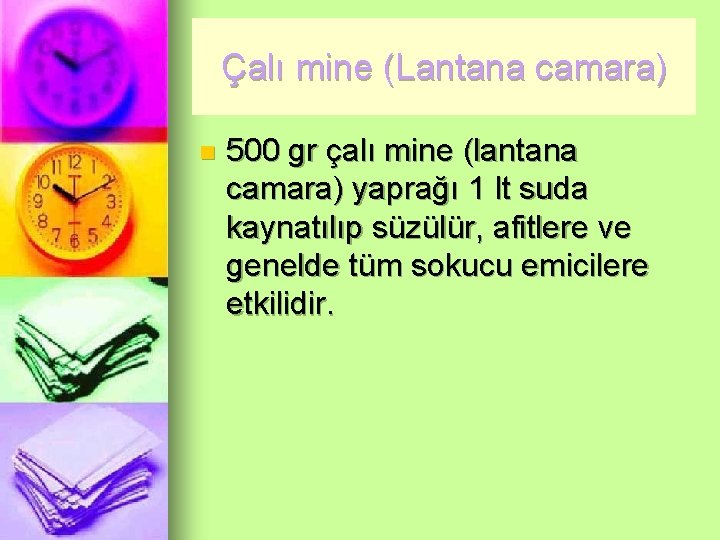 Çalı mine (Lantana camara) n 500 gr çalı mine (lantana camara) yaprağı 1 lt