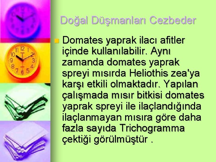 Doğal Düşmanları Cezbeder n Domates yaprak ilacı afitler içinde kullanılabilir. Aynı zamanda domates yaprak