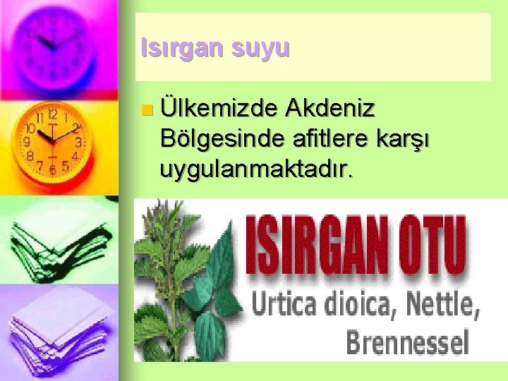 Isırgan suyu n Ülkemizde Akdeniz Bölgesinde afitlere karşı uygulanmaktadır. 