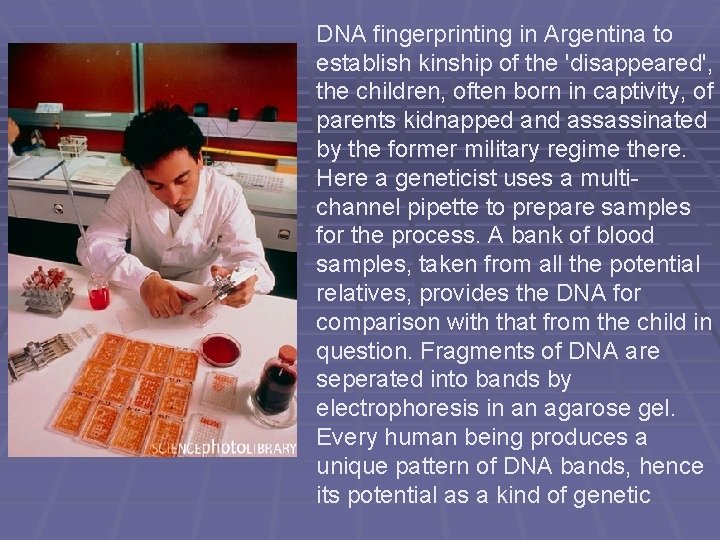 DNA fingerprinting in Argentina to establish kinship of the 'disappeared', the children, often born