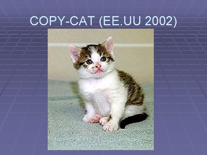 COPY-CAT (EE. UU 2002) 
