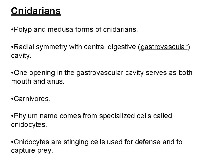 Cnidarians • Polyp and medusa forms of cnidarians. • Radial symmetry with central digestive