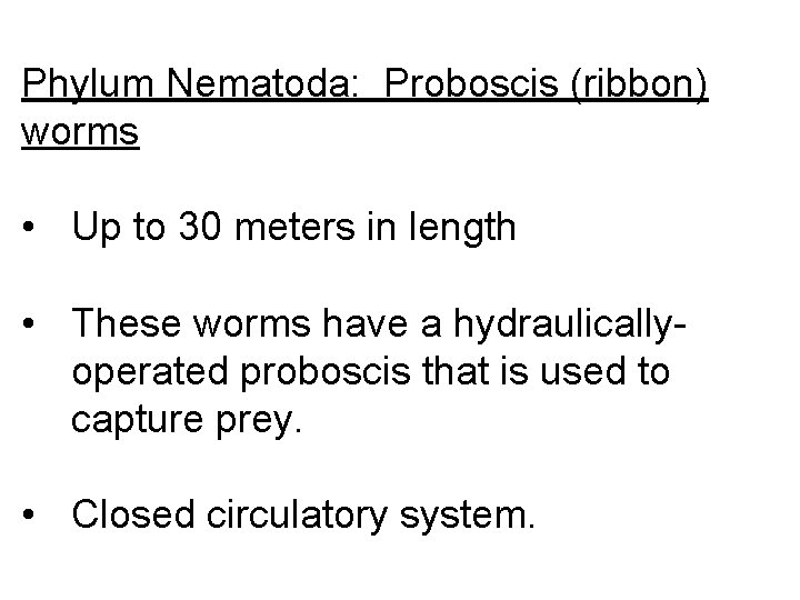 Phylum Nematoda: Proboscis (ribbon) worms • Up to 30 meters in length • These