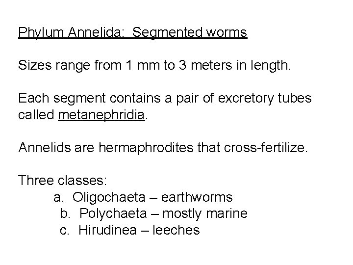 Phylum Annelida: Segmented worms Sizes range from 1 mm to 3 meters in length.