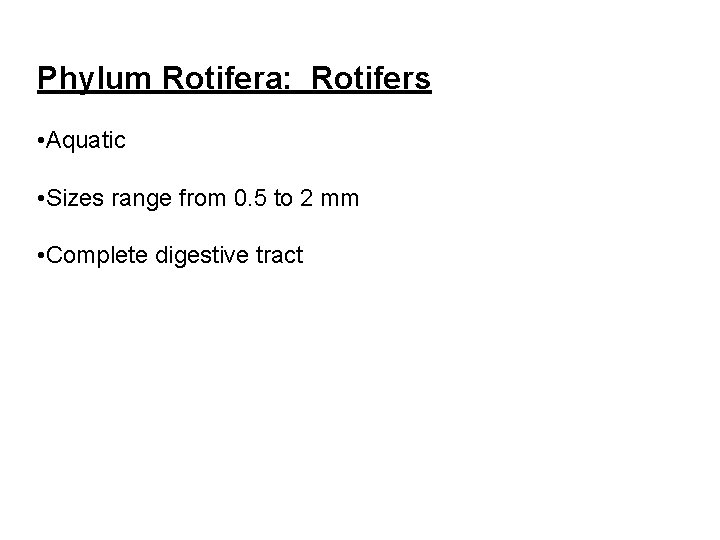 Phylum Rotifera: Rotifers • Aquatic • Sizes range from 0. 5 to 2 mm