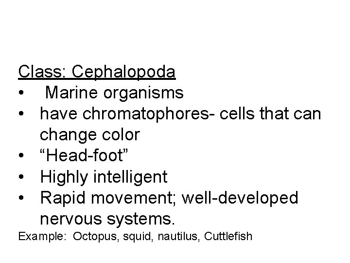 Class: Cephalopoda • Marine organisms • have chromatophores- cells that can change color •