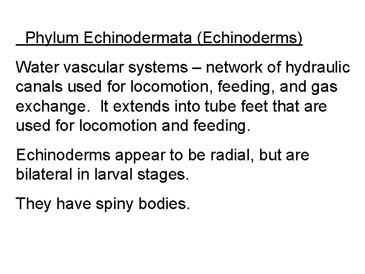  Phylum Echinodermata (Echinoderms) Water vascular systems – network of hydraulic canals used for