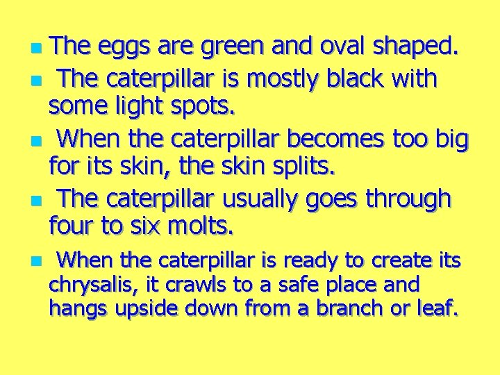 The eggs are green and oval shaped. n The caterpillar is mostly black with